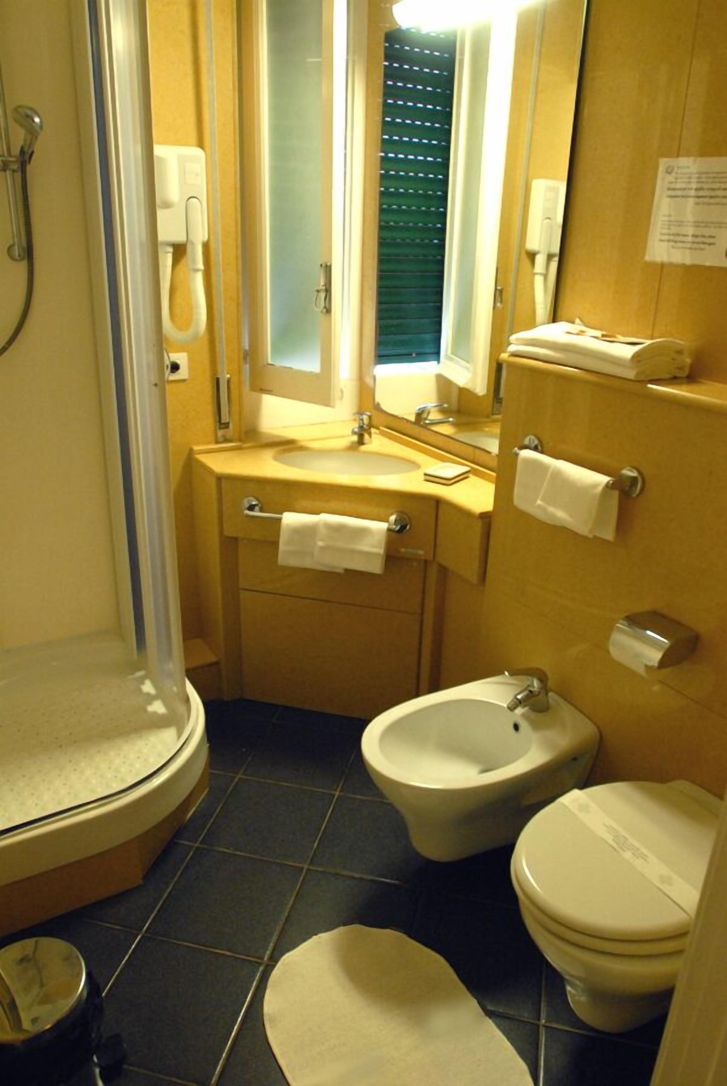 shower, hair dryer, bidet, towels