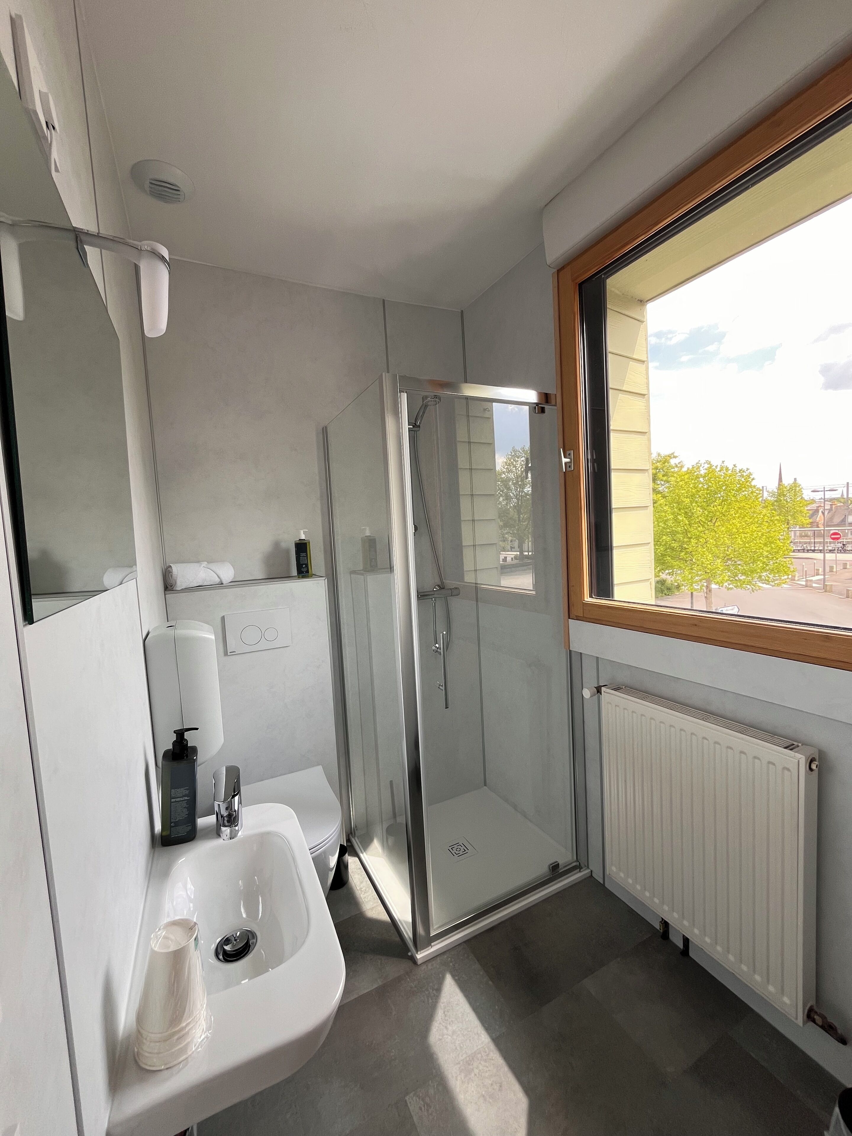 A modern bathroom with a glass shower enclosure, a sink, a toilet, a hand soap dispenser, and a window with a view of buildings and trees.