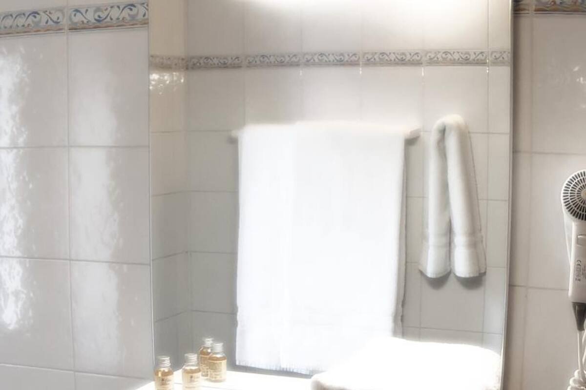 shower, free toiletries, hair dryer, bidet