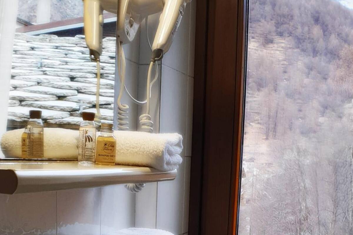 shower, free toiletries, hair dryer, bidet