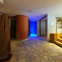 Sauna seca, banheira de hidromassagem, sauna a vapor, banho turco/hammam