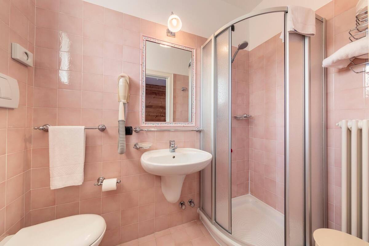 shower, free toiletries, hair dryer, bidet