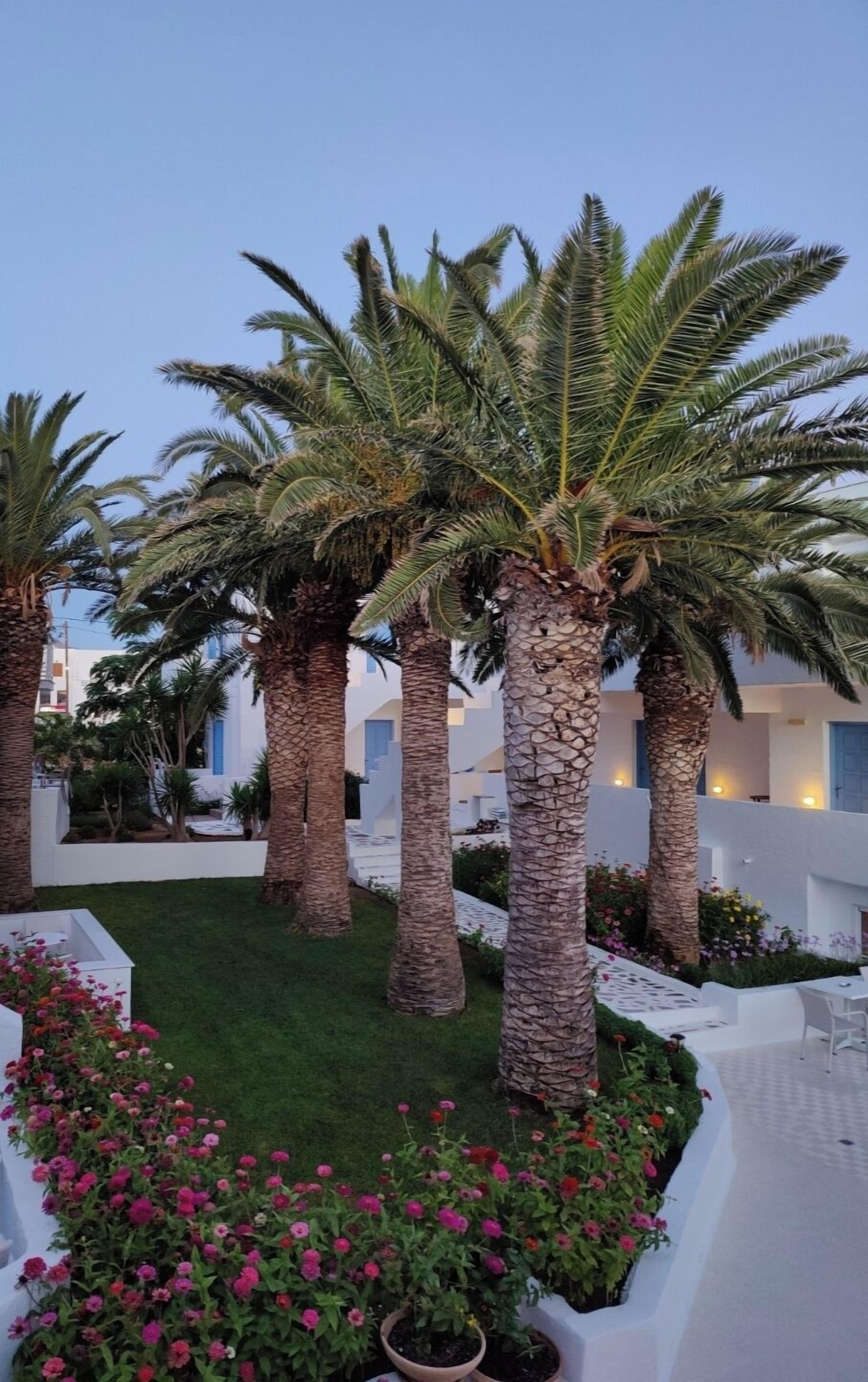 Photo - Hotel Sagterra