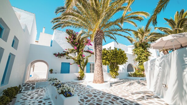 A courtyard with white buildings, palm trees, and a stone pathway. - Hotel Sagterra (Naxos)