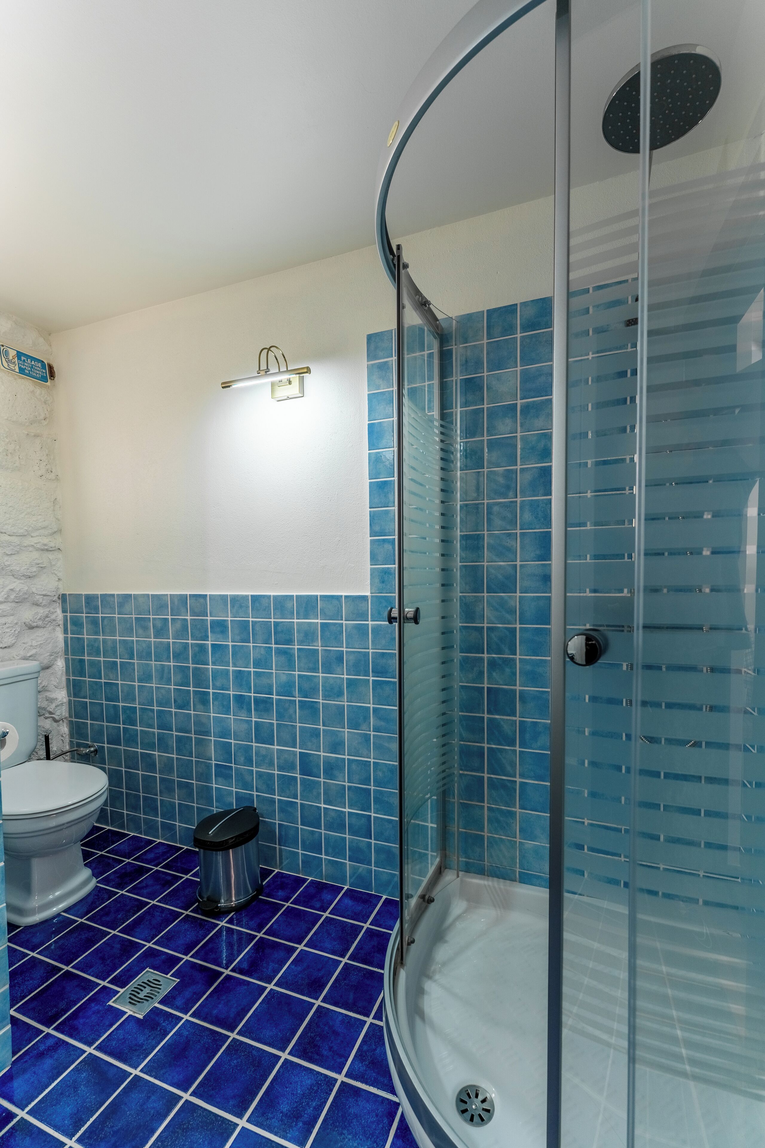 A bathroom with a glass-enclosed shower, a toilet, and a trash bin.