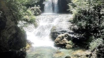 Una cascada en un área boscosa con agua cristalina fluyendo sobre rocas.