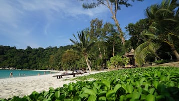 Una playa con arena, palmeras y una cabaña con techo de paja.