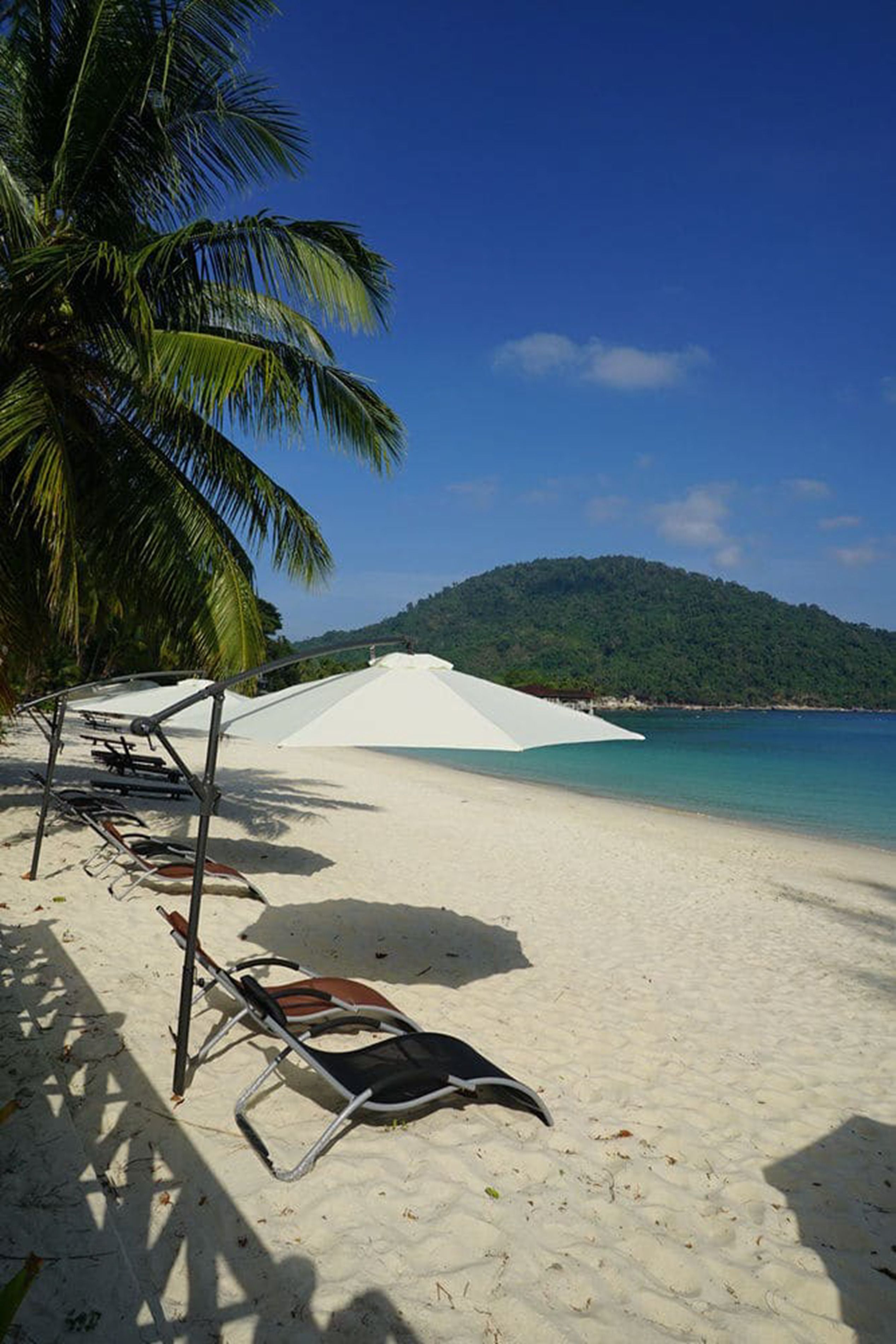 A beach with white umbrellas, lounge chairs, and a palm tree.