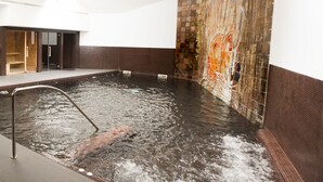 A large indoor swimming pool with a metal ladder, surrounded by walls with a mosaic design.