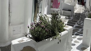 Un estrecho callejón con paredes blancas, suelo de piedra, una banca y una maceta con flores.