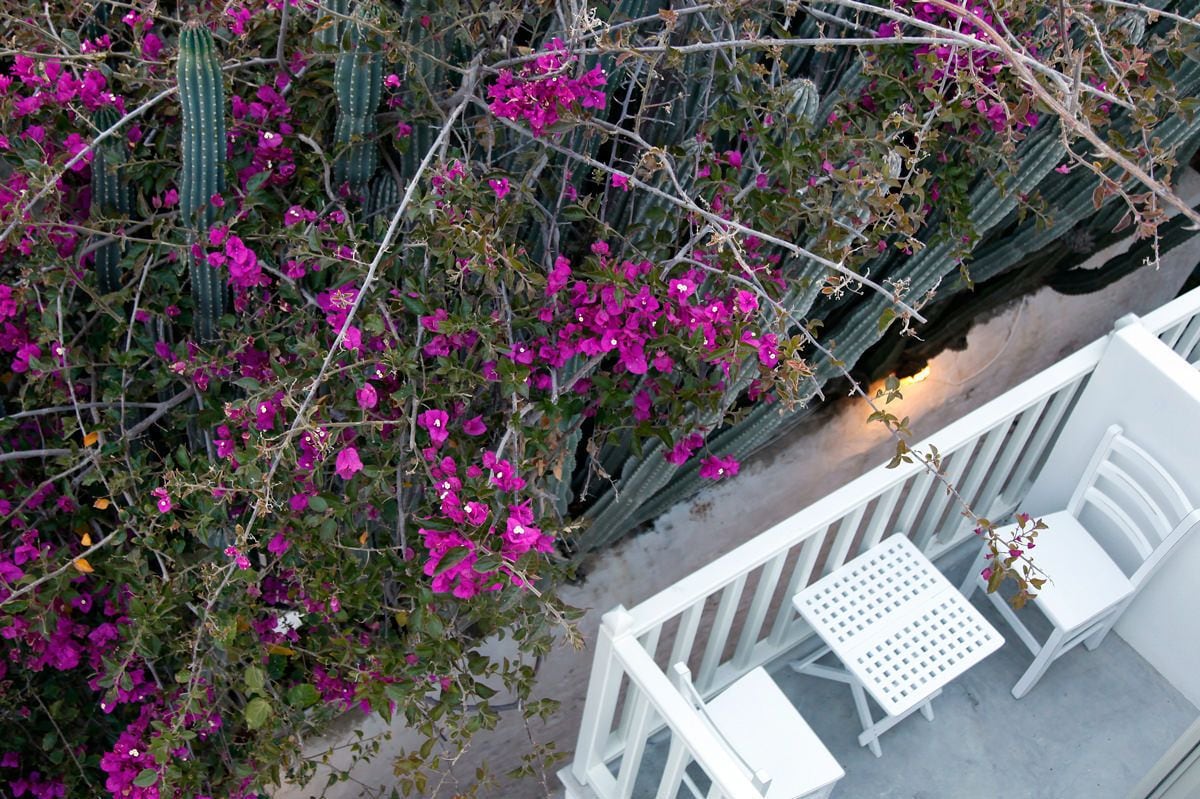 Foto - Fresh Boutique Hotel