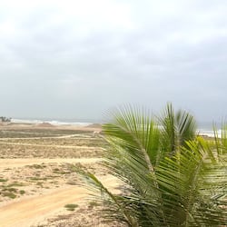 Vue sur la plage/l’océan