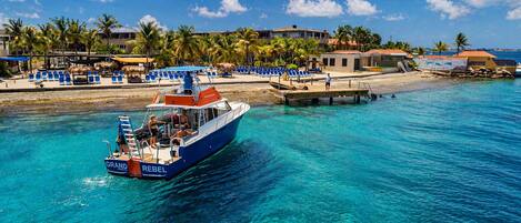 Un barco llamado 'GRAND REBEL' en aguas turquesas cristalinas, una playa con sillas azules y palmeras al fondo.