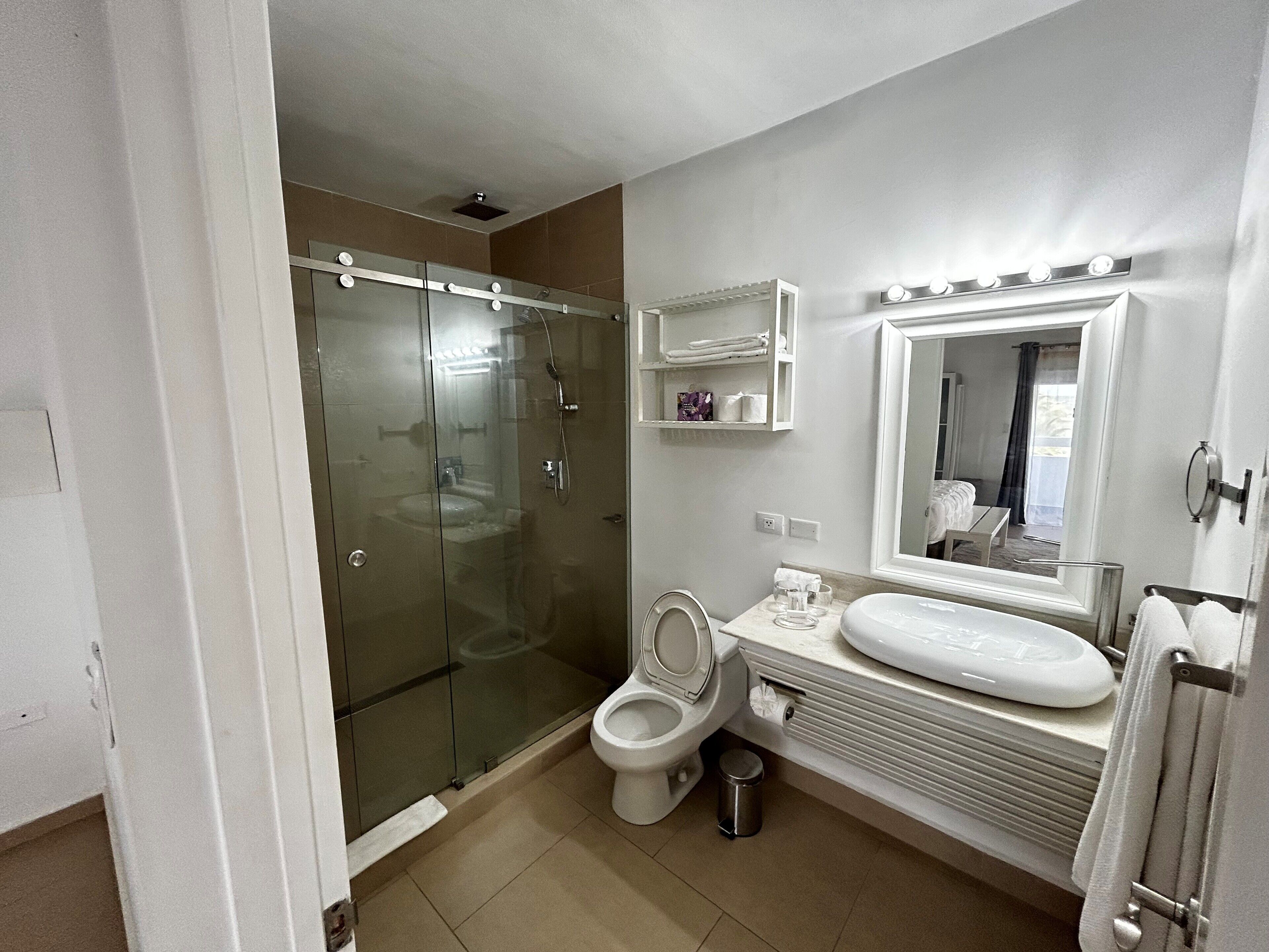 A bathroom with a glass-enclosed shower, a toilet, a sink with a mirror above, and a towel rack.