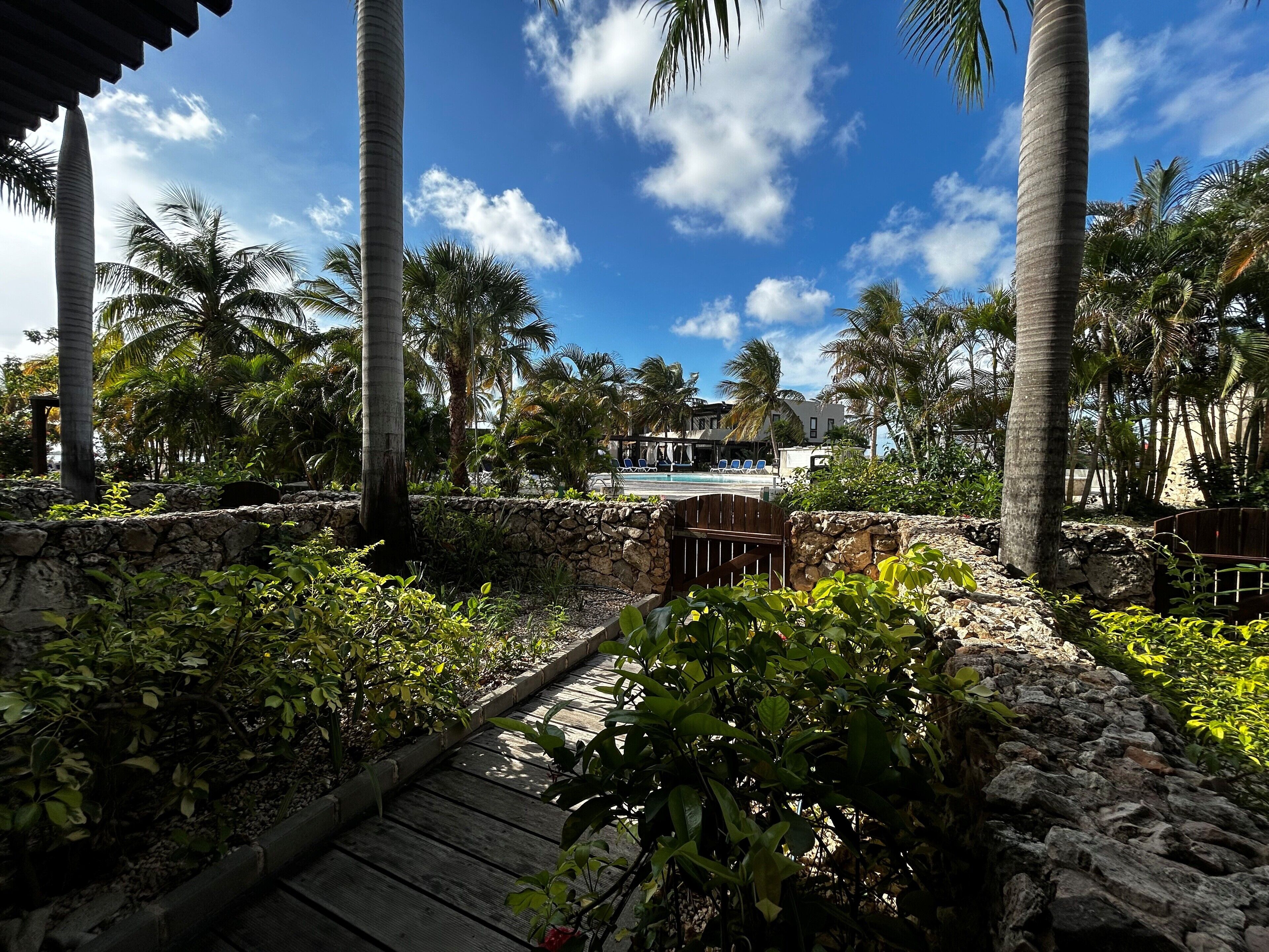 Studio with Terrace | Quang cảnh từ phòng