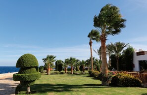 Vistas al jardín