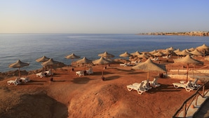 Ein Strand mit vielen Liegestühlen und Reetdachschirmen.