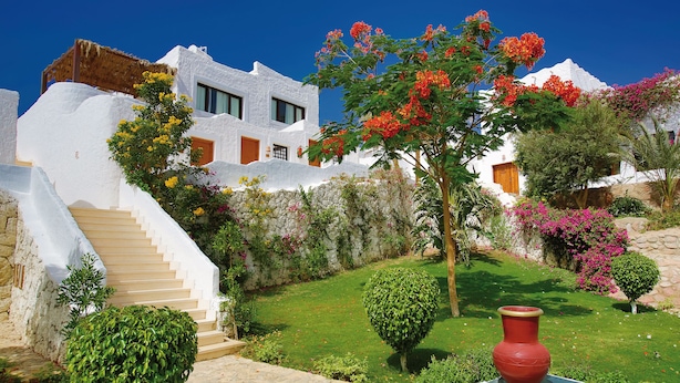 Ein weißes Gebäude mit einer Treppe, die zu einer Tür führt, umgeben von einem gepflegten Garten mit verschiedenen Pflanzen und einem großen, roten Blumentopf.