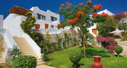 Sharm Club Beach Resort