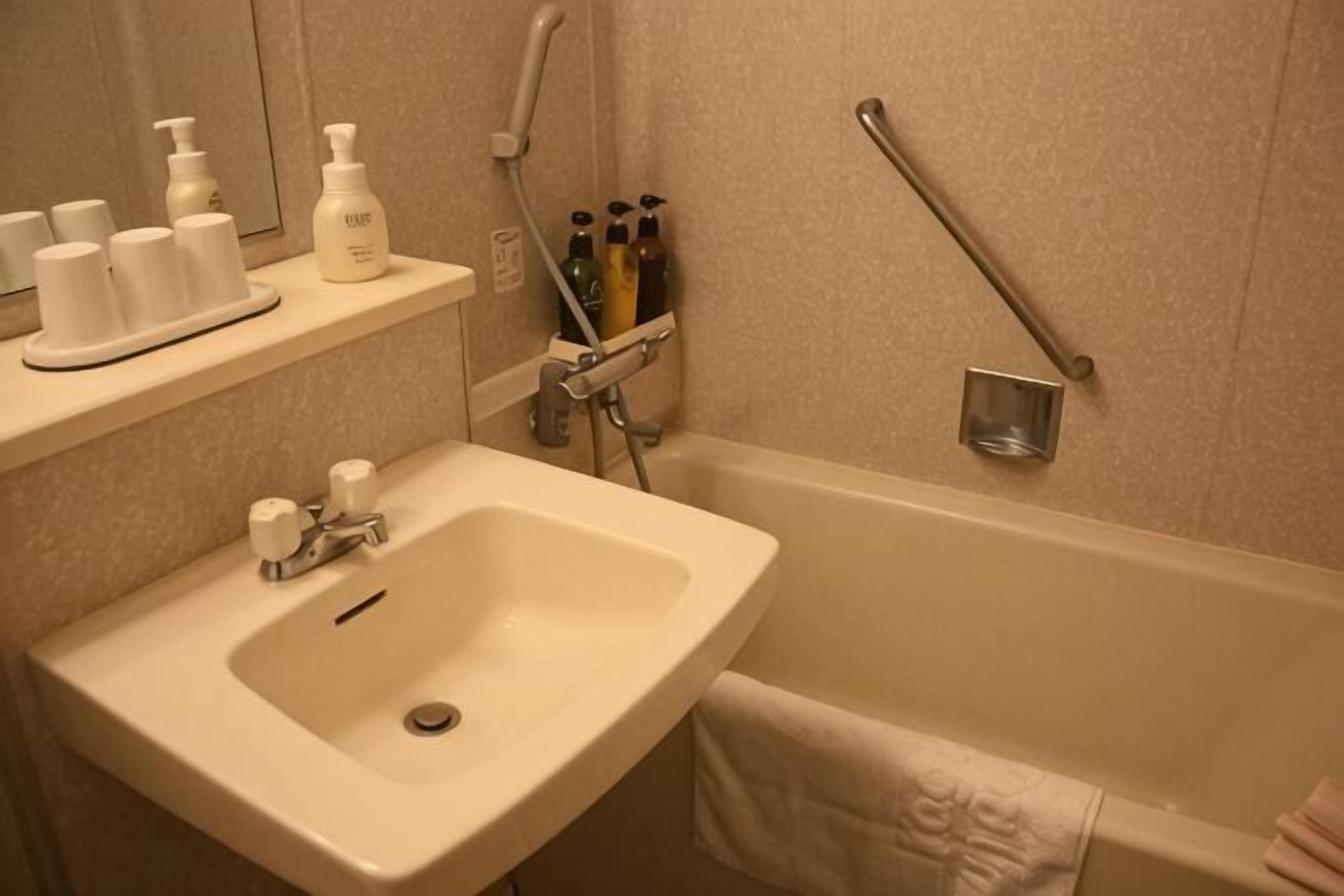 Bathtub, free toiletries, hair dryer, slippers