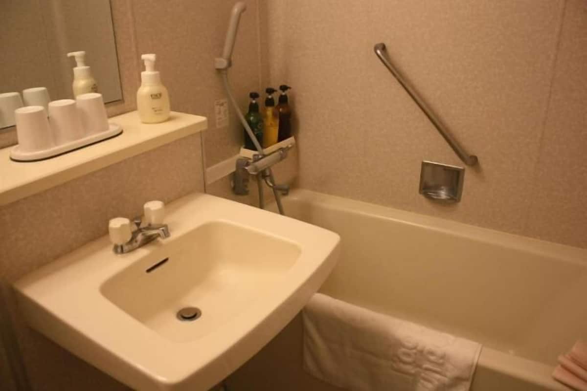 Een bad, gratis toiletartikelen, een haardroger, pantoffels