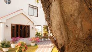 A house with a brick pathway leading to the entrance, surrounded by potted plants and a tree. - Herdmanston Lodge (Georgetown)