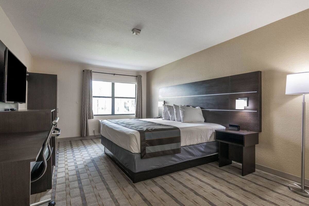 Une chambre d’hôtel avec un lit, un bureau, une télévision, une fenêtre avec des rideaux et une lampe.
