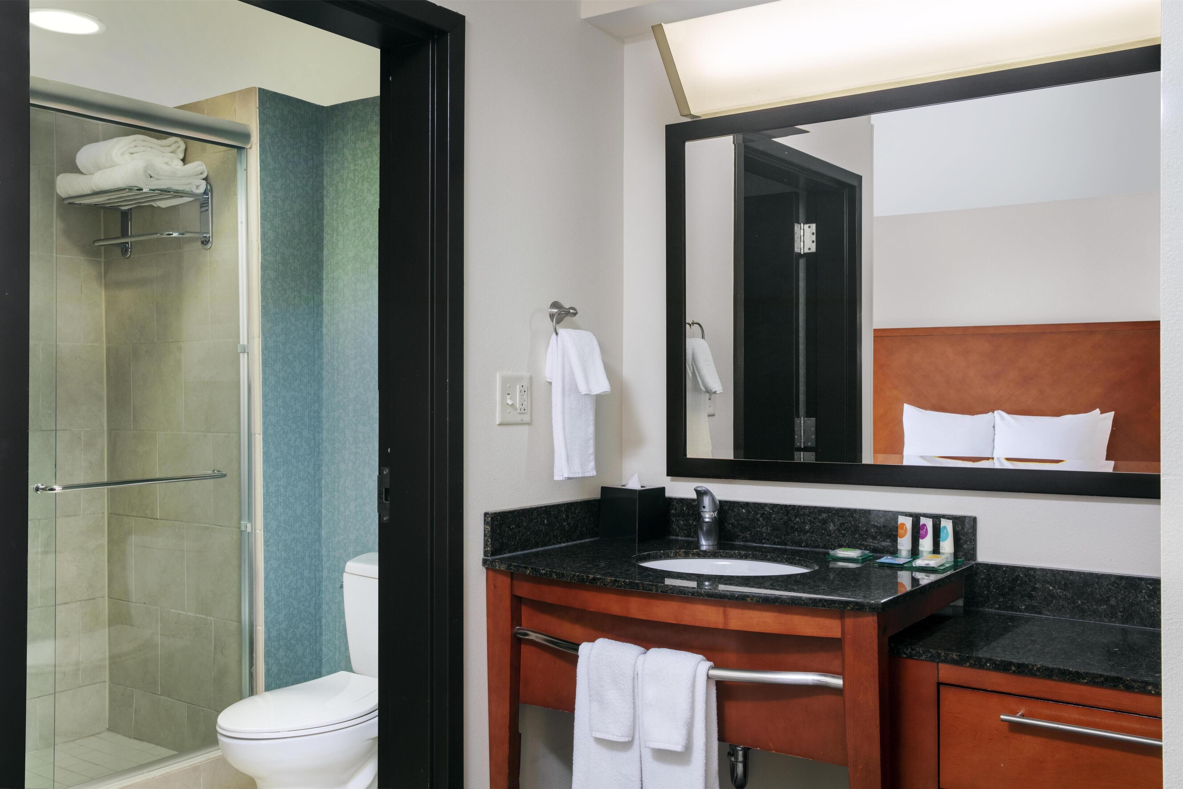 A modern bathroom with a glass-enclosed shower, a white toilet, a sink with a black countertop, and a large mirror above the sink.