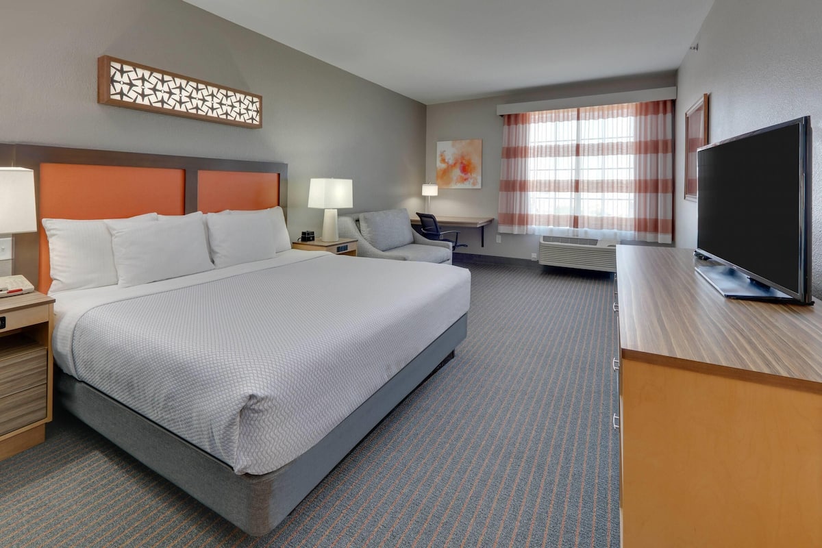 A hotel room with a large bed, a desk, a chair, a television, and a decorative wall piece.