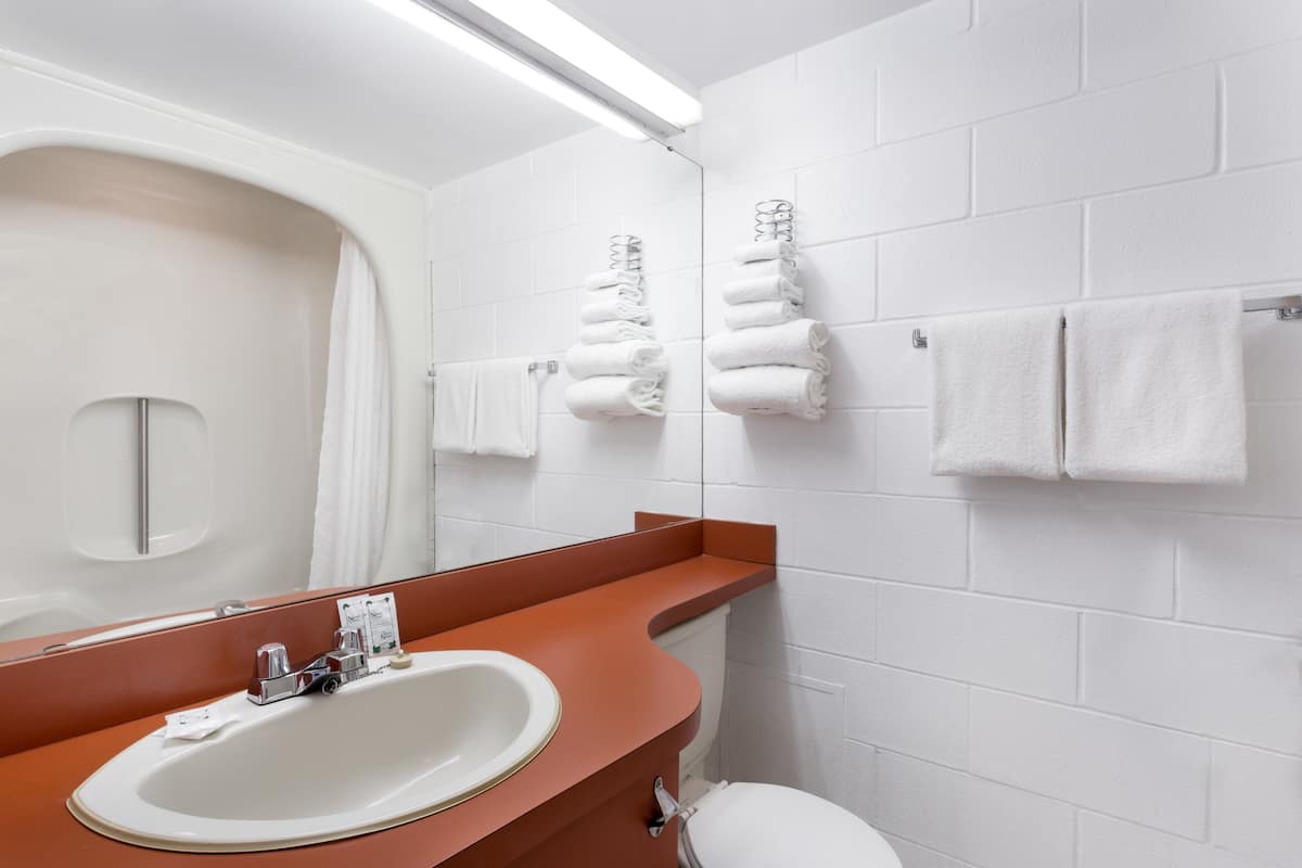 Room, 1 King Bed, Non Smoking | Bathroom