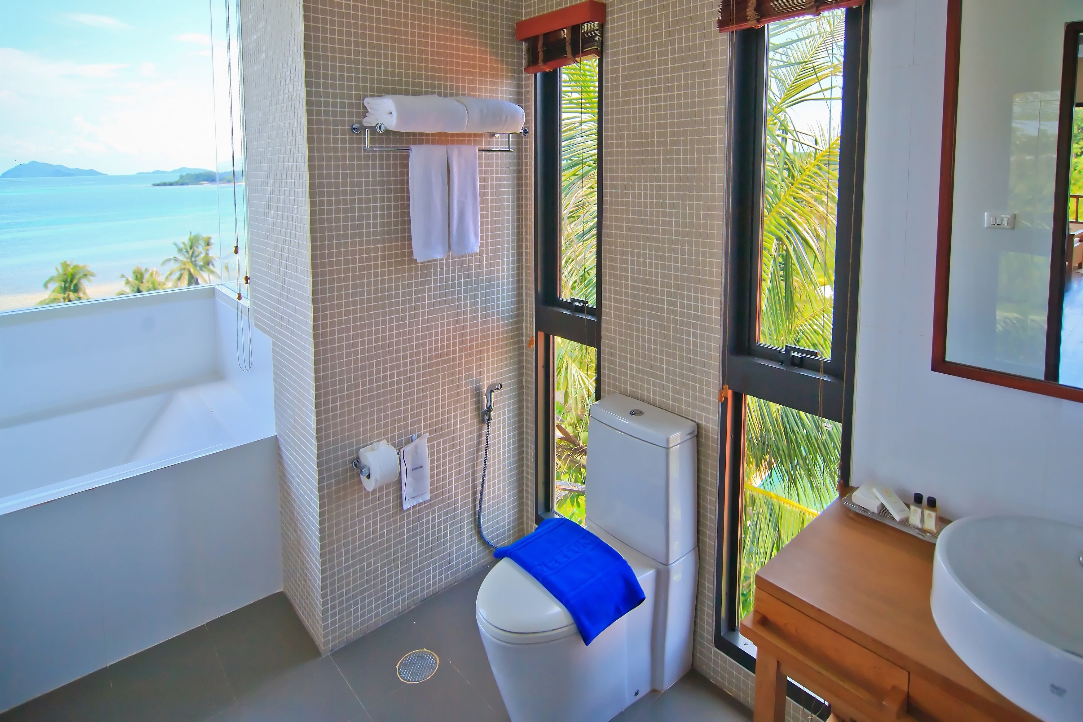 separate bathtub and shower, rainfall showerhead, free toiletries