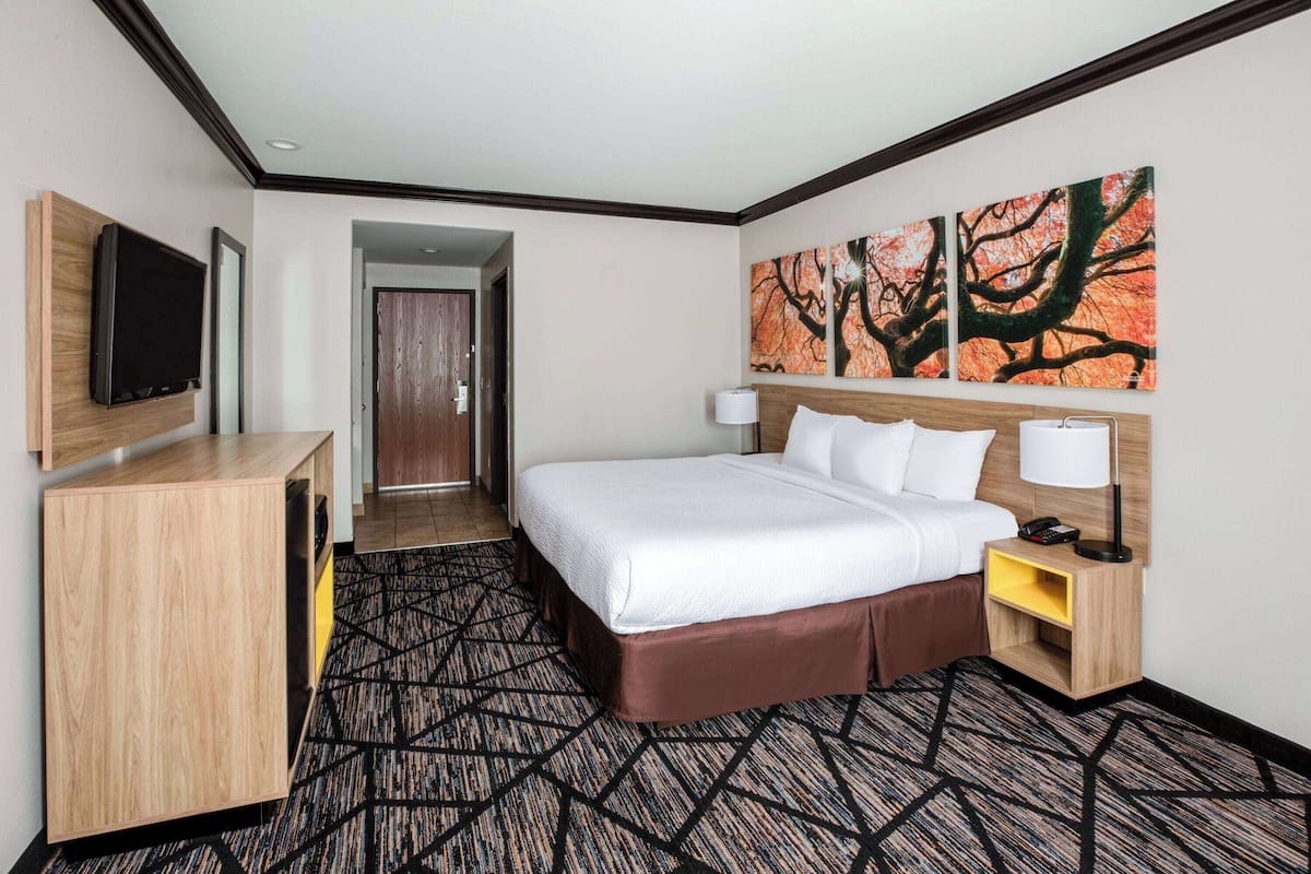 A hotel room with a large bed, a TV mounted on the wall, a desk, and a painting of trees.