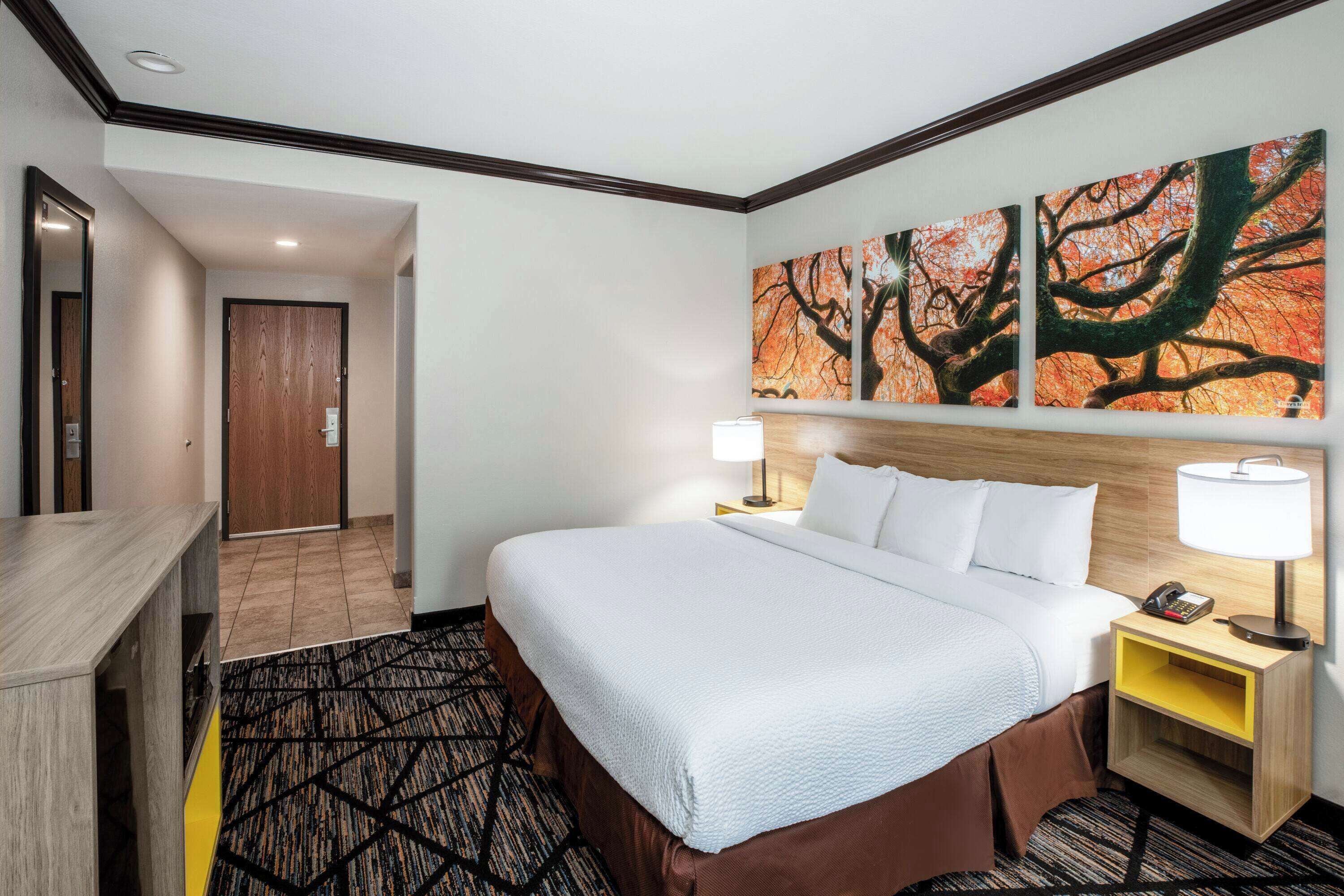 Premium bedding, down comforters, in-room safe, desk