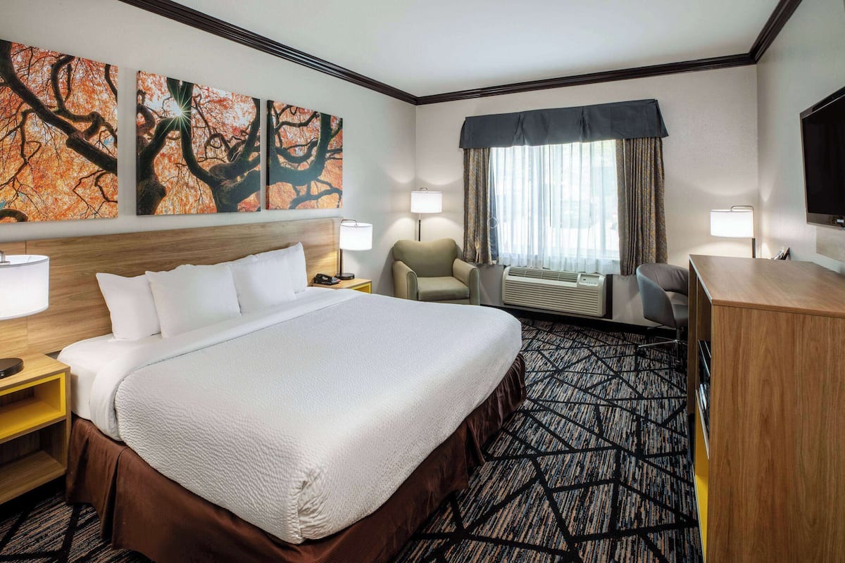 A hotel room with a large bed, a desk, a chair, a TV, and artwork on the wall.