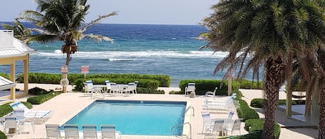 Outdoor pool, sun loungers