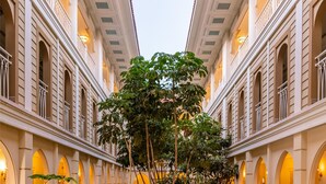 Un patio con un árbol central, rodeado de abundante vegetación y un edificio con varios balcones y arcos.