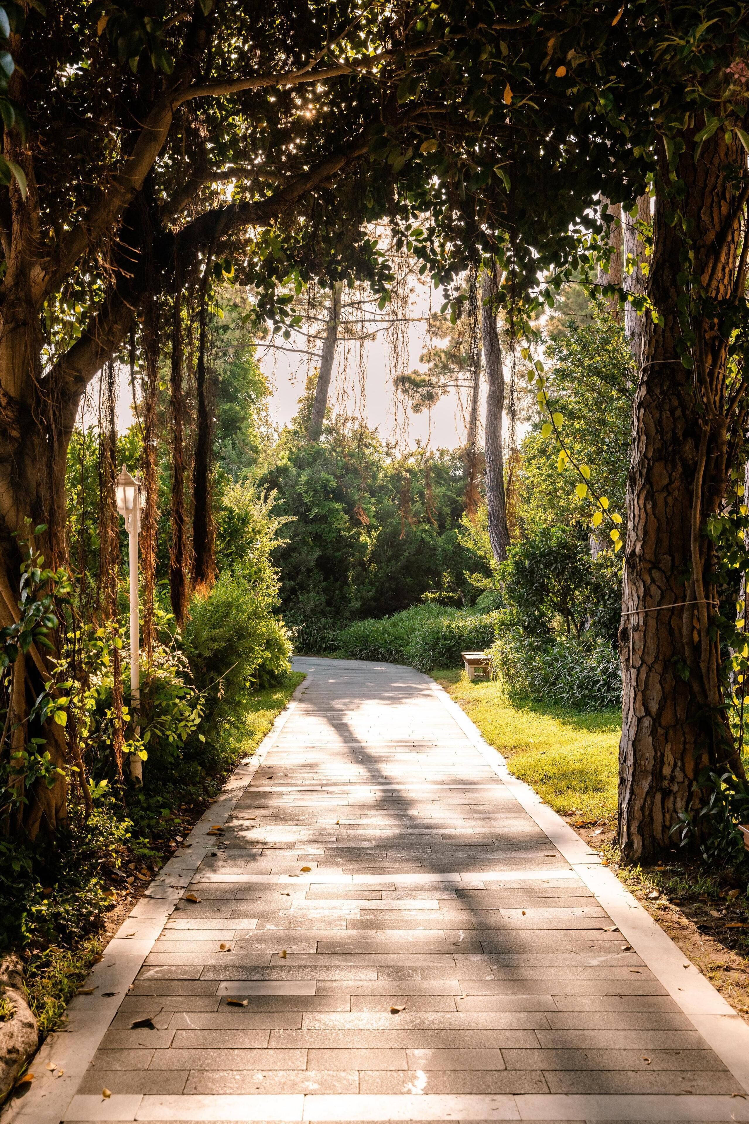 Foto - Ali Bey Resort Sorgun   Ultra All Inclusive