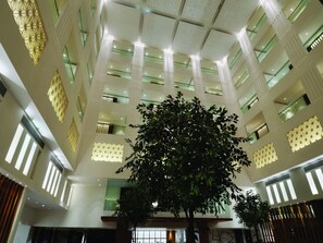 Vista desde la habitación