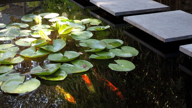 A serene garden with a pond, stone steps, and a bench. - Best Western Hotel Garden & Spa (La Baule-Escoublac)