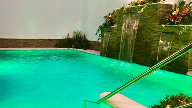 A swimming pool with a waterfall feature, a handrail, and decorative plants.