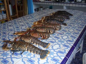 Free daily continental breakfast - Villa Daba (Essaouira)