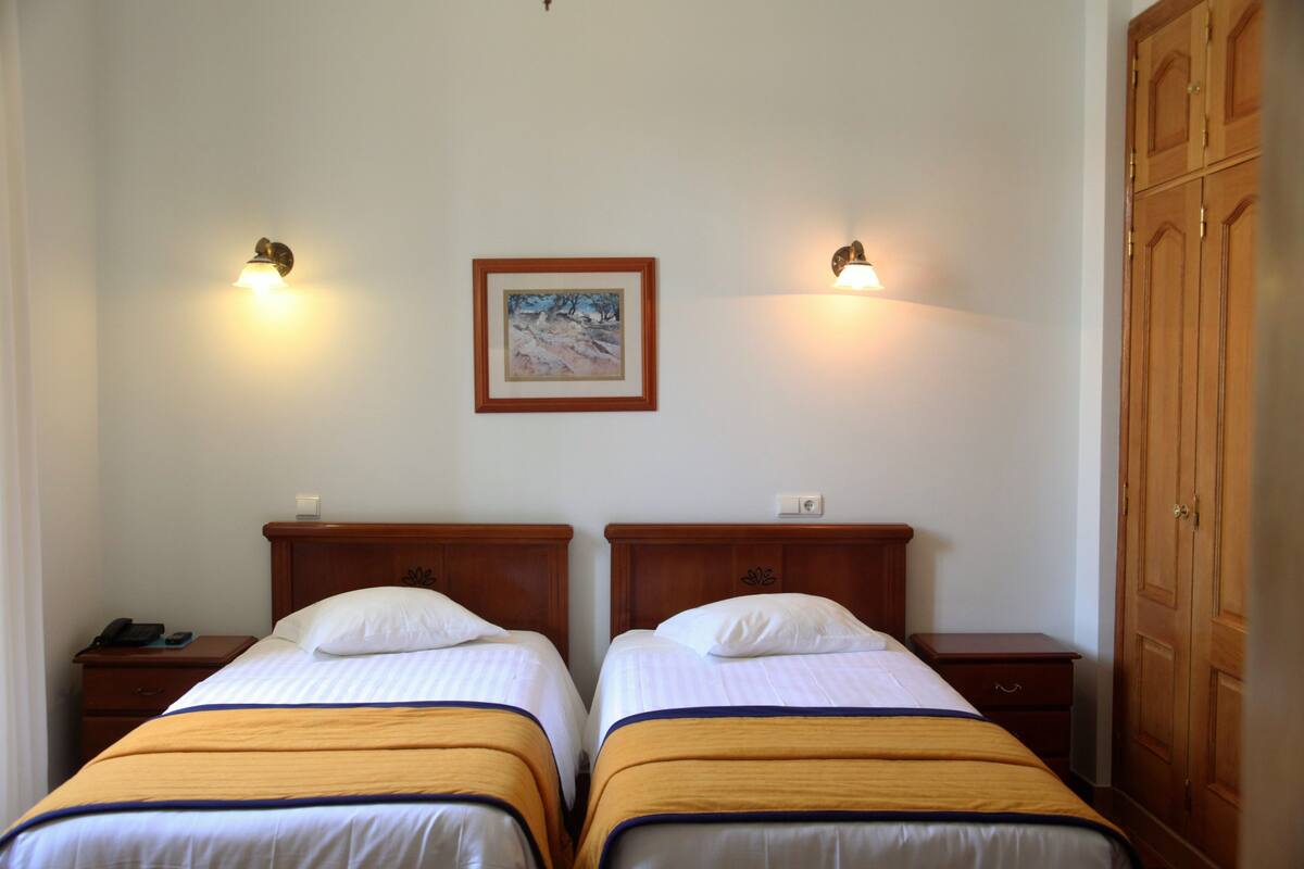 Twin Room | In-room safe, desk, rollaway beds (surcharge), WiFi (free)