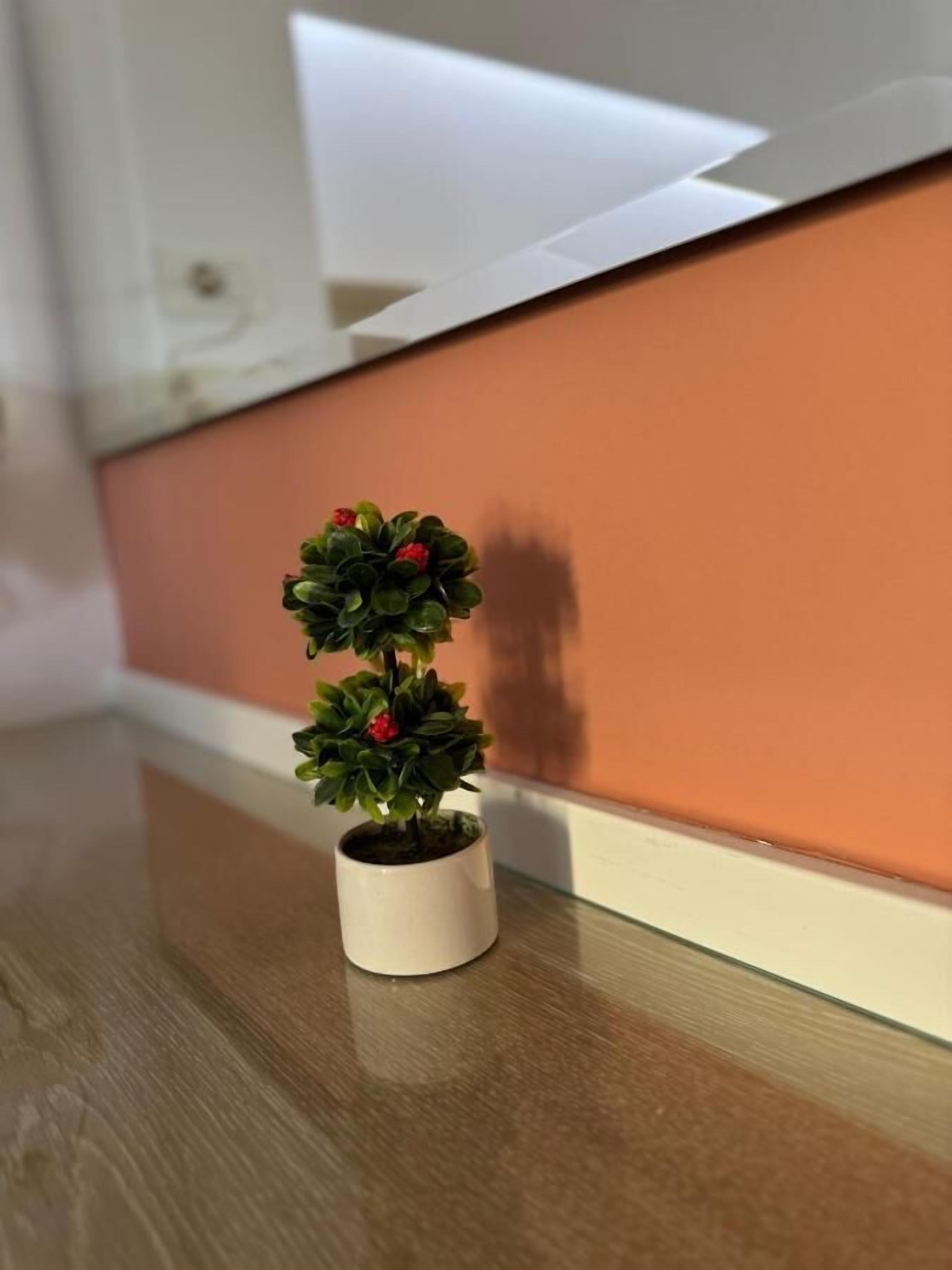 Een kleine potplant op een houten ondergrond, nabij een witte muur.
