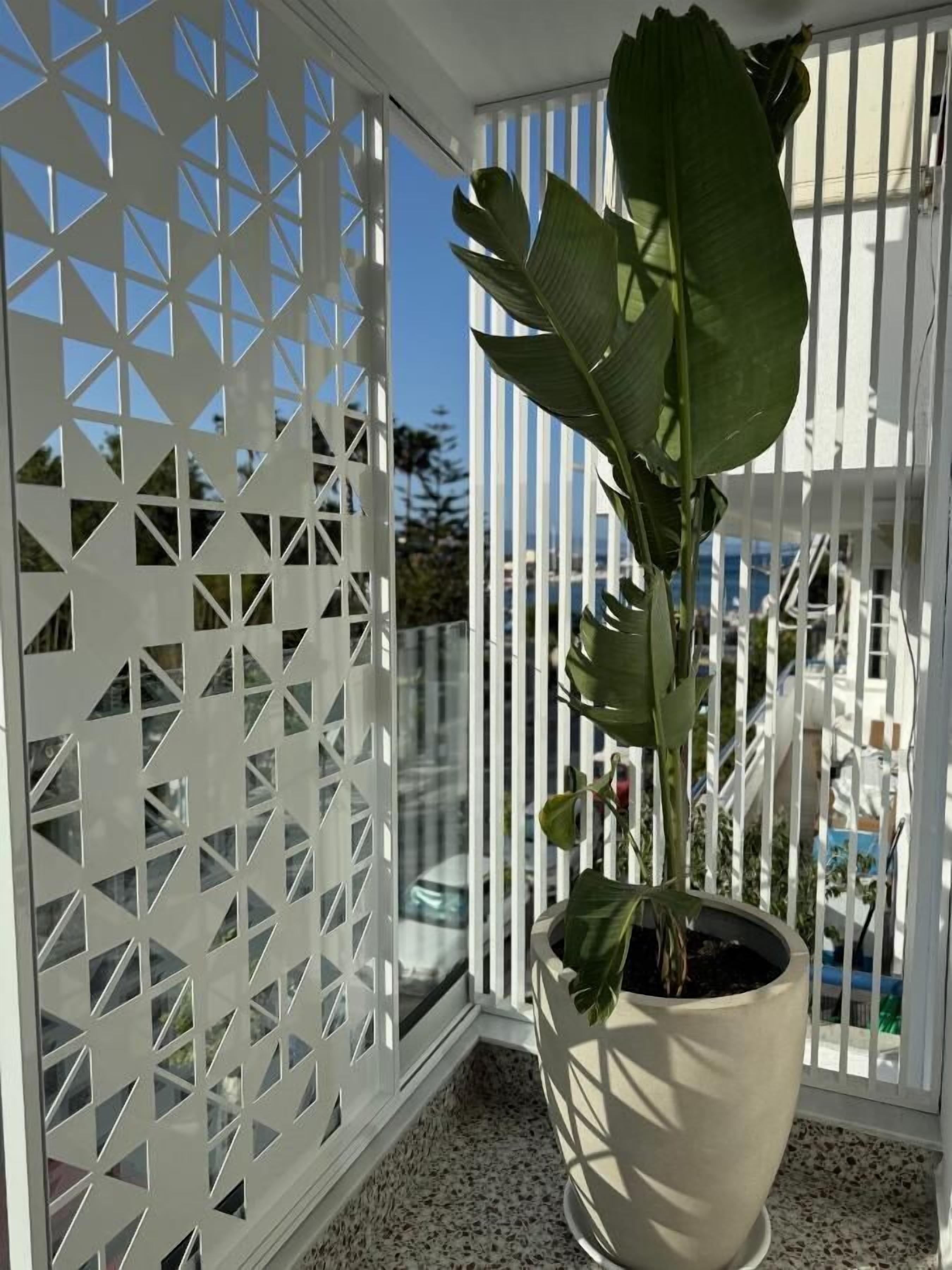 Foto - Catherine Hotel