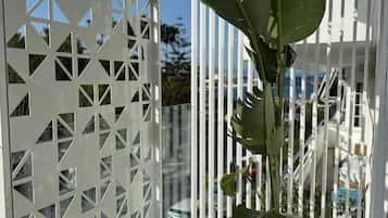A potted plant in a white pot on a balcony with a white lattice partition.