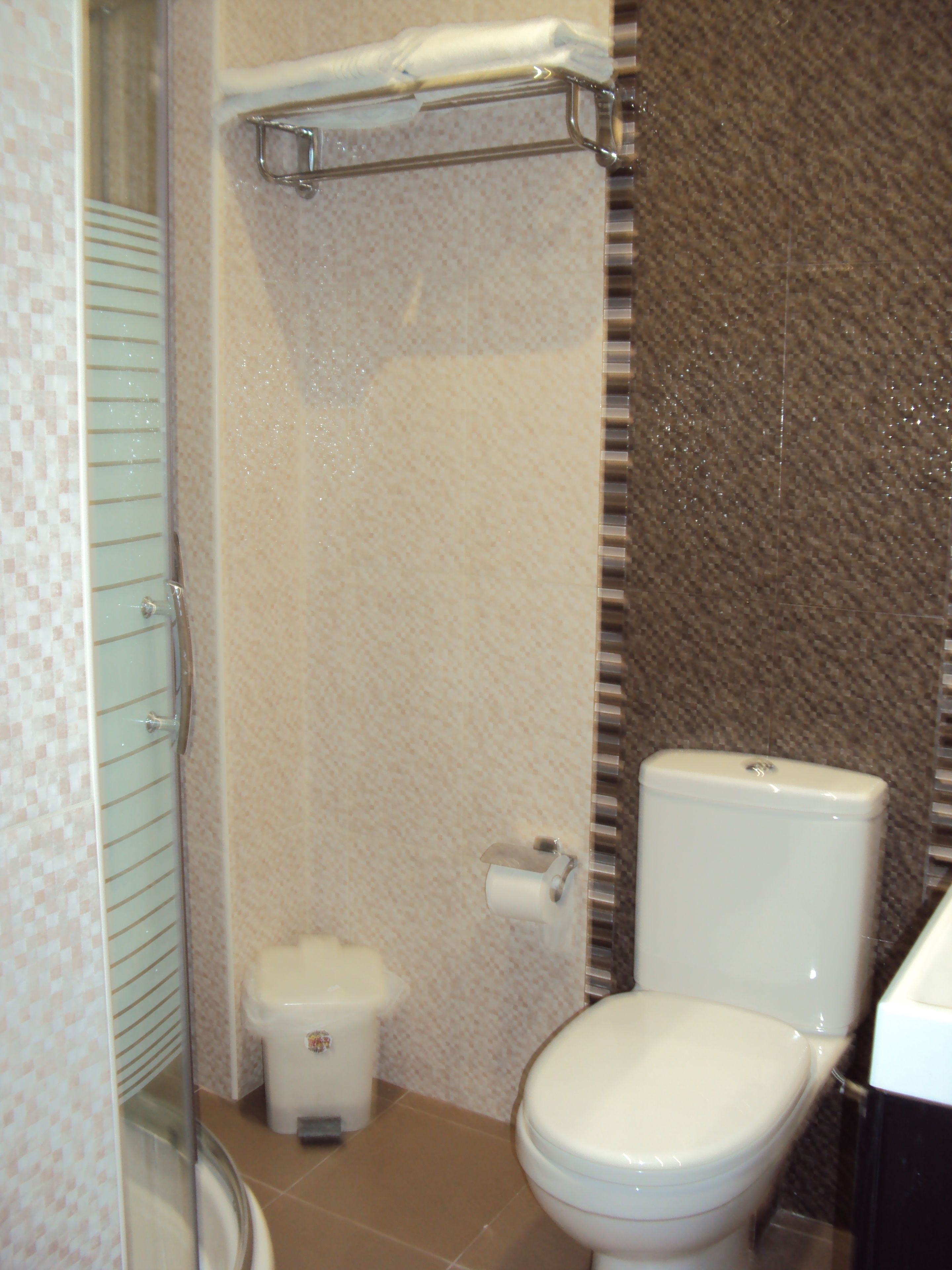 Un baño con inodoro, un pequeño cubo de basura y zona de ducha.
