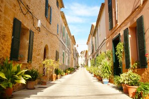 Une rue étroite bordée d’immeubles, de plantes en pot et sous un ciel dégagé.