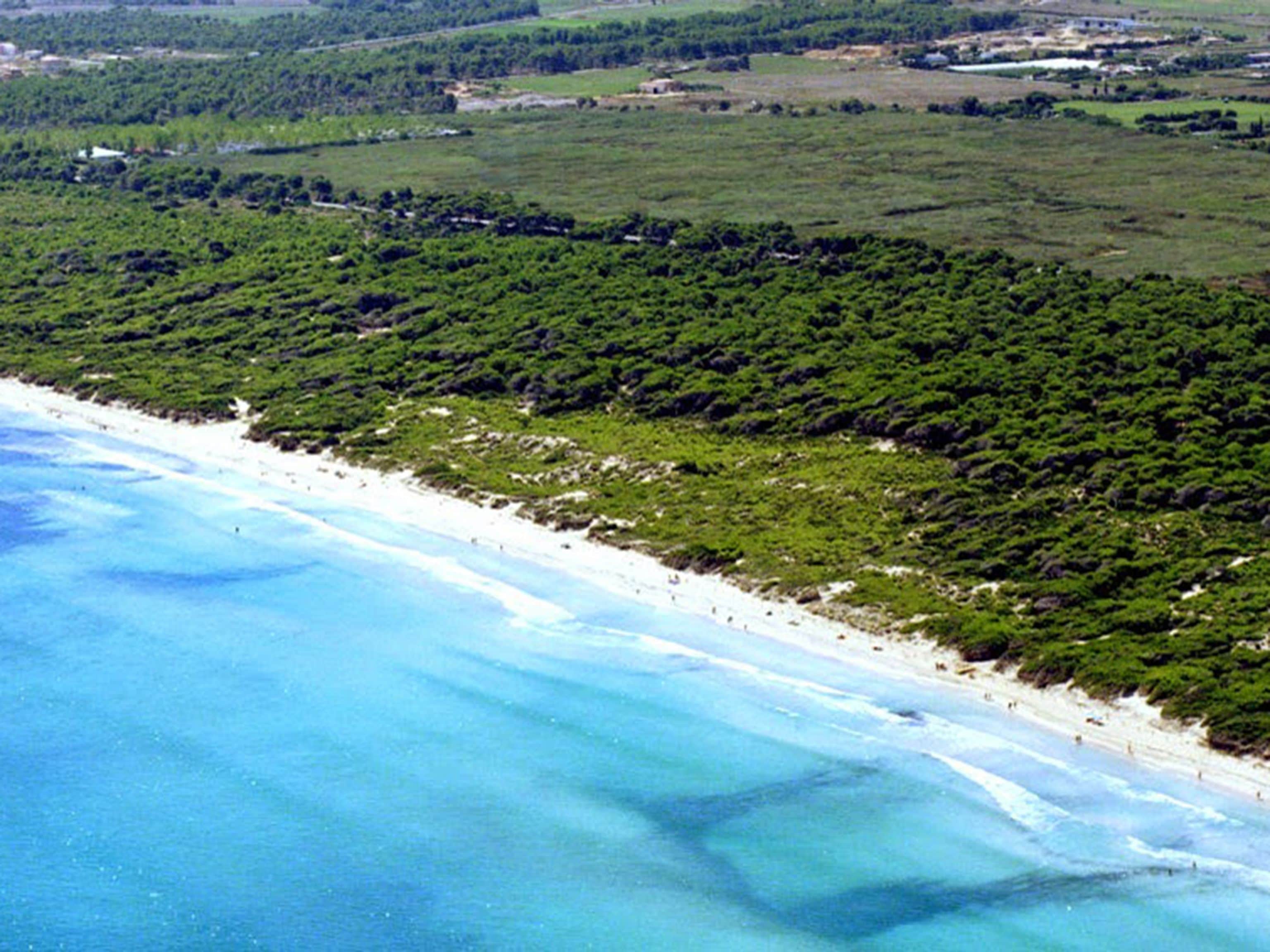 Vista aérea de una playa con aguas azules cristalinas y un denso área boscosa al fondo.