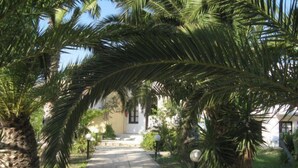 Property grounds - Apartments Seagull (Kos)
