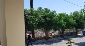A street with trees, a stone wall, and a blue utility box. - Hotel Sonia (Kos)